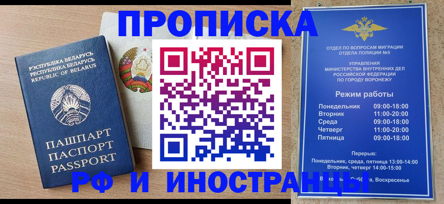 пропишу в квартире в Щёкино